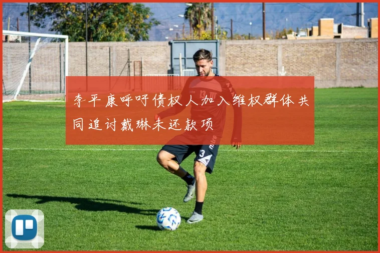 李平康呼吁债权人加入维权群体共同追讨戴琳未还款项