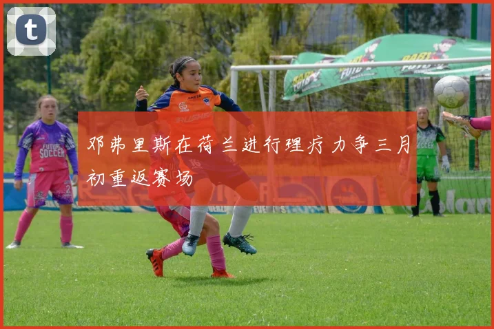 邓弗里斯在荷兰进行理疗力争三月初重返赛场