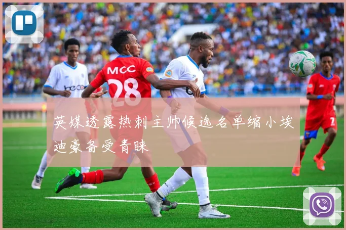 英媒透露热刺主帅候选名单缩小埃迪豪备受青睐